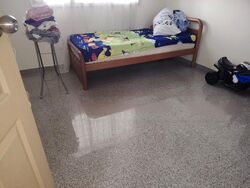 Blk 218 Petir Road (Bukit Panjang), HDB 4 Rooms #576193751